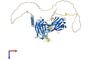 SYT6 Protein (AA 1-510) (His tag)