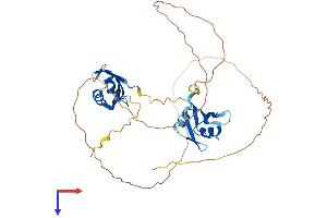 MSI1 Protein (AA 1-362) (His tag)