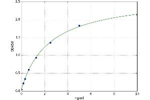 A typical standard curve
