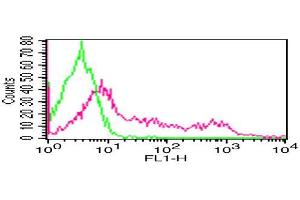 Flow Cytometry (FACS) image for anti-CD8 (CD8) antibody (FITC) (ABIN5027683) (CD8 Antikörper  (FITC))