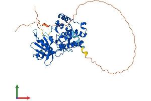 Protein Structure (PS) image for serine/threonine Kinase 17b (STK17B) (AA 1-372) protein (His tag) (ABIN7558524)