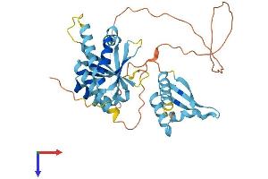 PCBP1 Protein (AA 1-356) (His tag)
