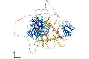 Protein Structure (PS) image for Inositol Polyphosphate-5-Phosphatase F (INPP5F) (AA 1-1132) protein (His tag) (ABIN7555354)