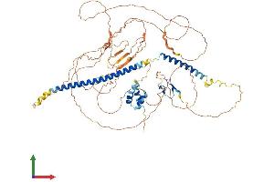 Protein Structure (PS) image for TGF-beta Activated Kinase 1/MAP3K7 Binding Protein 2 (TAB2) (AA 1-693) protein (His tag) (ABIN7564885)
