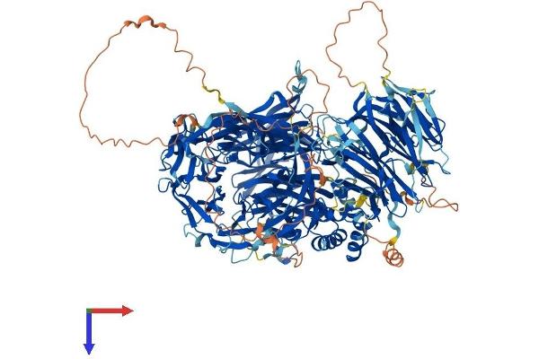 CPSF1 Protein (AA 1-1443) (His tag)