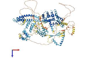 SIN3B Protein (AA 1-1162) (His tag)