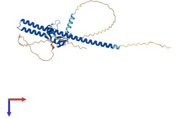 TRIM44 Protein (AA 1-346) (His tag)