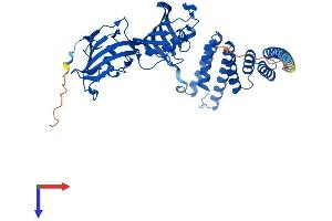 FKBP4 Protein (AA 1-459) (His tag)