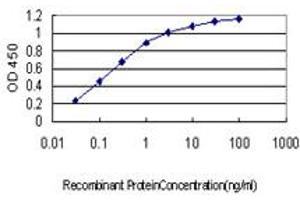 Detection limit for recombinant GST tagged ARMC8 is approximately 0. (ARMC8 Antikörper  (AA 287-385))