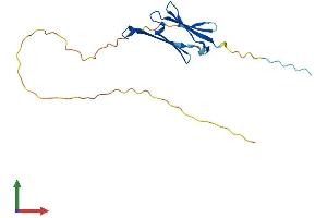 Protein Structure (PS) image for Heat Shock 27kDa Protein Family, Member 7 (Cardiovascular) (HSPB7) (AA 1-169) protein (His tag) (ABIN7563170)