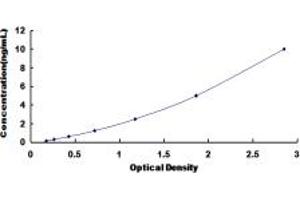 Typical standard curve (PICK1 ELISA Kit)