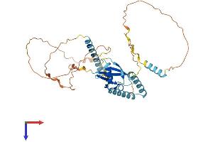 HERPUD1 Protein (AA 1-391) (His tag)
