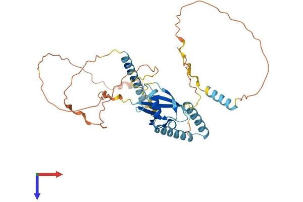 HERPUD1 Protein (AA 1-391) (His tag)