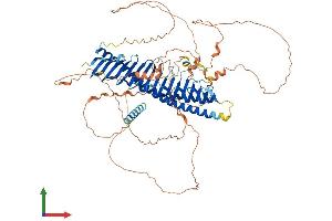Protein Structure (PS) image for Junctophilin 3 (JPH3) (AA 1-744) protein (His tag) (ABIN7565071)
