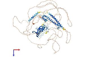 AlphaFold protein structure predicition of Mouse Recombinant Phf20 Protein, UniprotID Q8BLG0