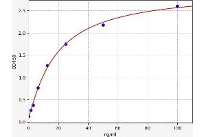 C1q and Tumor Necrosis Factor Related Protein 3 (C1QTNF3) ELISA Kit