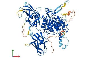 AlphaFold protein structure predicition of Human Recombinant GPCPD1 Protein, UniprotID Q9NPB8
