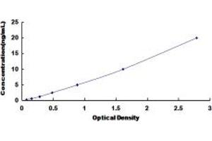 Typical standard curve (SLC30A6 ELISA Kit)