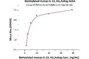 ELISA image for Interleukin 13 (IL13) (AA 21-132) (Active) protein (His tag,AVI tag,Biotin) (ABIN6950979)