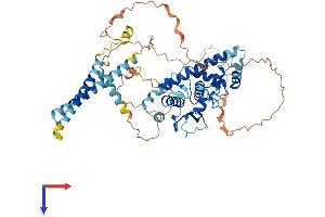 AlphaFold protein structure predicition of Mouse Recombinant Tmem209 Protein, UniprotID Q8BRG8 (TMEM209 Protein (AA 1-561) (His tag))