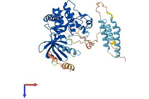 STK24 Protein (AA 1-443) (His tag)