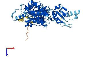 UHMK1 Protein (AA 1-419) (His tag)