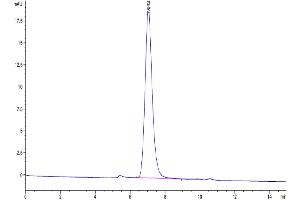 Size-exclusion chromatography-High Pressure Liquid Chromatography (SEC-HPLC) image for Leukocyte-Associated Immunoglobulin-Like Receptor 1 (LAIR1) (AA 22-163) protein (His-Avi Tag) (ABIN7275118)