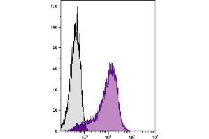 Chicken thymocytes were stained with Mouse Anti-Chicken MCAM-UNLB. (MCAM Antikörper  (FITC))