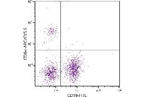 BALB/c mouse splenocytes were stained with Rat Anti-Mouse CD8α-APC/CY5. (CD8 alpha Antikörper  (APC-Cy5.5))