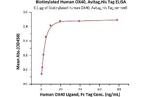 Immobilized Biotinylated Human OX40, Avitag,His Tag (ABIN5526607,ABIN5526608) at 1 μg/mL (100 μL/well) on Streptavidin  precoated (0. (TNFRSF4 Protein (AA 29-216) (His tag,AVI tag,Biotin))