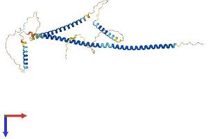 GKAP1 Protein (AA 1-366) (His tag)