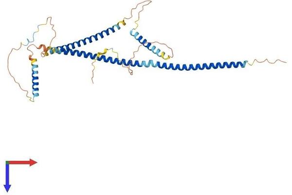 GKAP1 Protein (AA 1-366) (His tag)