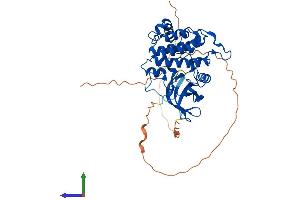 Protein Structure (PS) image for Casein Kinase 1, gamma 2 (CSNK1G2) (AA 1-415) protein (His tag) (ABIN7564439)
