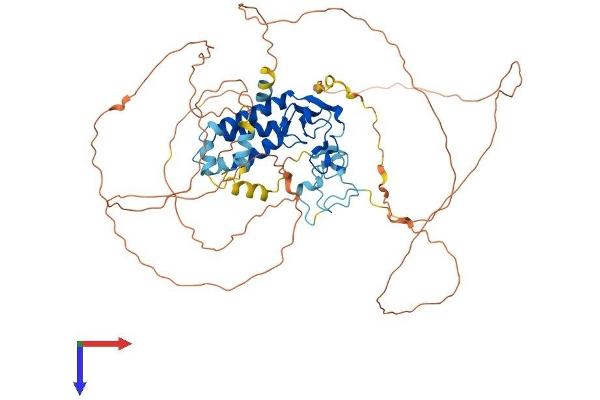 MSL2 Protein (AA 1-577) (His tag)
