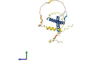 Protein Structure (PS) image for Basic Helix-Loop-Helix Family, Member E23 (BHLHE23) (AA 1-225) protein (His tag) (ABIN7552803)