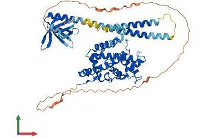 Protein Structure (PS) image for Pleckstrin Homology Domain Containing, Family A (Phosphoinositide Binding Specific) Member 8 (PLEKHA8) (AA 1-519) protein (His tag) (ABIN7564278)