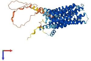 SPNS2 Protein (AA 1-549) (His tag)