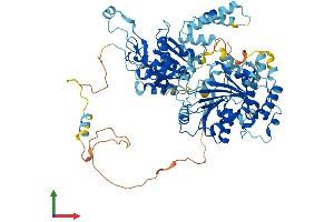 AlphaFold protein structure predicition of Mouse Recombinant Rad54l Protein, UniprotID P70270