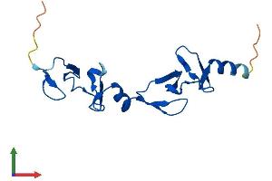 Protein Structure (PS) image for LIM Domain Only 3 (Rhombotin-Like 2) (LMO3) (AA 1-145) protein (His tag) (ABIN7549123)