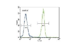 FOXP3 Antibody (C-term) (ABIN389295 and ABIN2839415) flow cytometric analysis of 293 cells (right histogram) compared to a negative control (left histogram). (FOXP3 Antikörper  (C-Term))