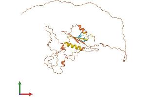 AlphaFold protein structure predicition of Mouse Recombinant Cpxcr1 Protein, UniprotID Q3V0P1