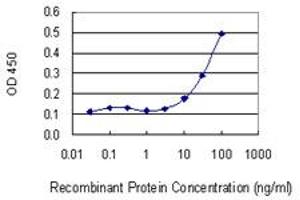 Detection limit for recombinant GST tagged SNRPB is 3 ng/ml as a capture antibody. (SNRPB Antikörper  (AA 1-80))
