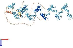 AlphaFold protein structure predicition of Human Recombinant ZNF615 Protein, UniprotID Q8N8J6