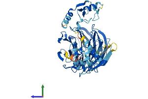 AlphaFold protein structure predicition of Human Recombinant WDSUB1 Protein, UniprotID Q8N9V3
