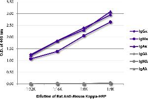 ELISA plate was coated with purified mouse IgGκ, IgMκ, IgAκ, IgGλ, IgMλ, and IgAλ.
