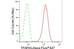 Flow cytometric analysis of TFAP2A expression in HepG2 cells using TFAP2A antibody (ABIN7800591), 1:2,000).