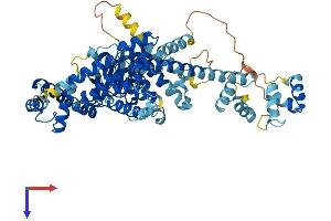 NUB1 Protein (AA 1-615) (His tag)