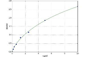 Dihydropyrimidine Dehydrogenase (DPYD) ELISA Kit