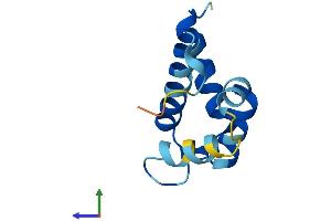 AlphaFold protein structure predicition of Human Recombinant S100A7L2 Protein, UniprotID Q5SY68