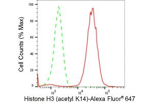 Flow cytometric analysis of Histone H3 (acetyl K14) expression in HeLa cells using Histone H3 (acetyl K14) antibody (ABIN7798949), 1:2,000). (Rekombinanter Histone 3 Antikörper  (H3K14ac))